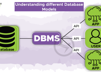 Different Database Models